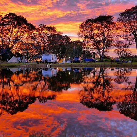 Coonawarra Bush Holiday Park Exterior photo