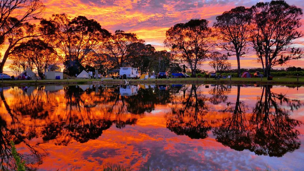 Coonawarra Bush Holiday Park Exterior photo